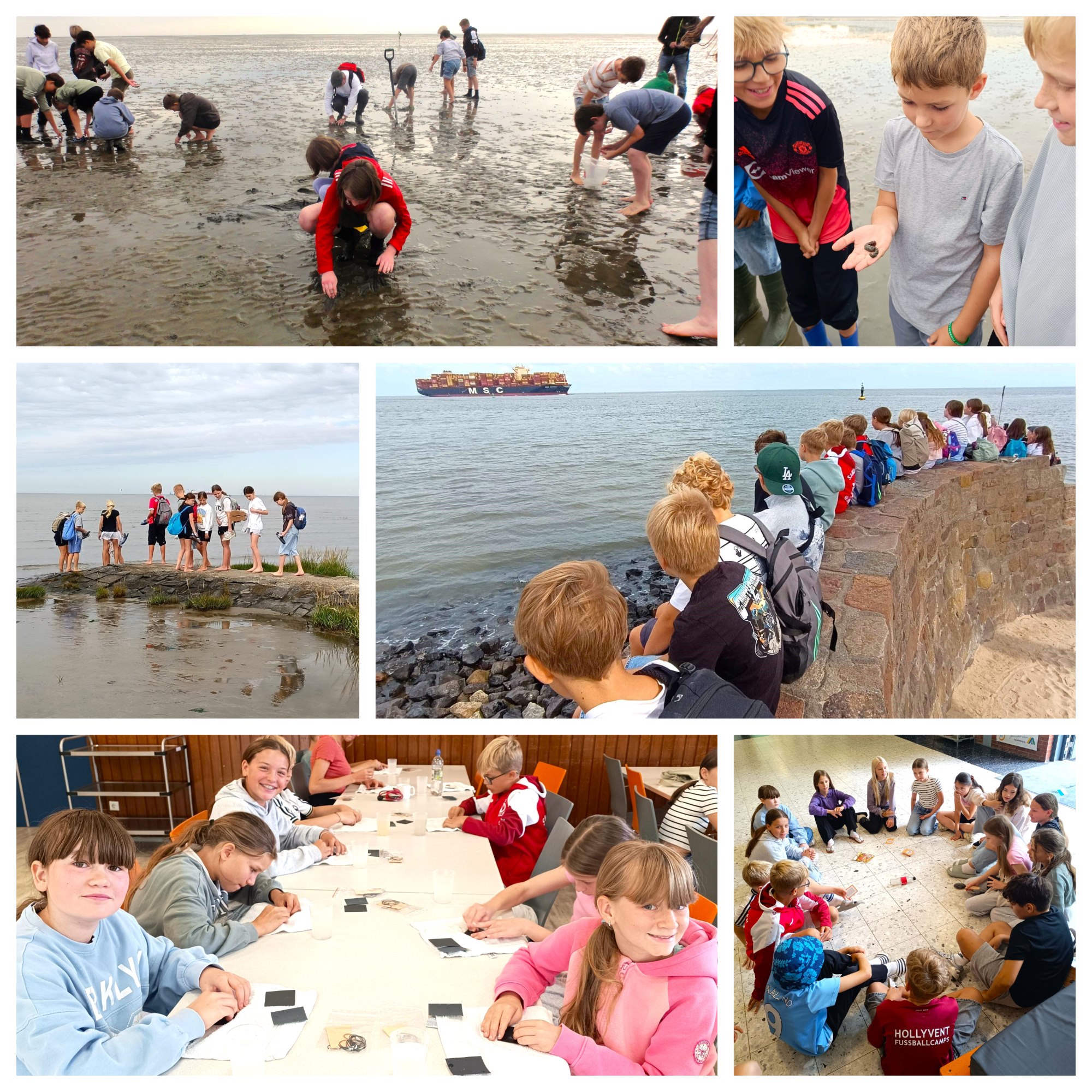Cuxhaven 2025 Collage